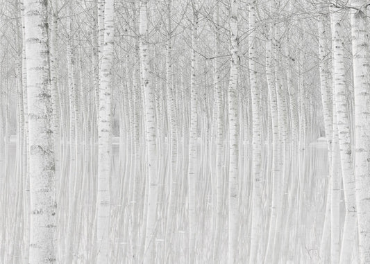 Trees | Canvas