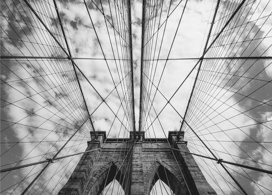 The bridge | Poster