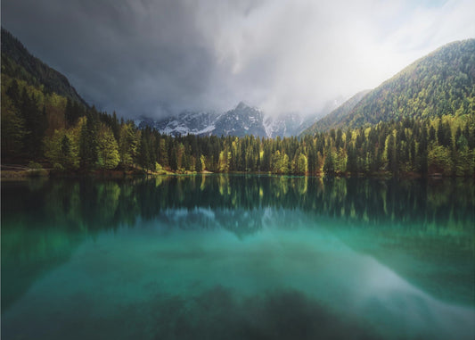 Menta. | Canvas