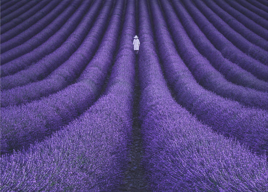 SHE | Canvas
