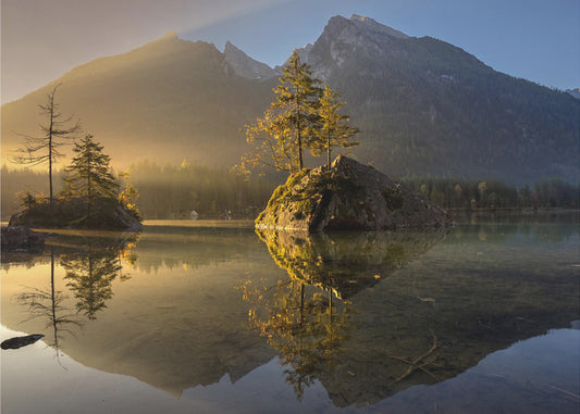 Goldener Morgen | Tapete