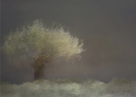 Willow | Canvas