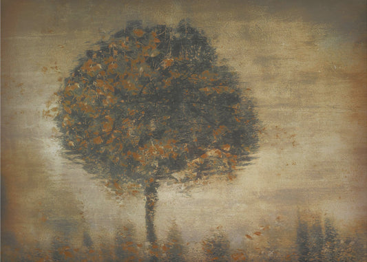 Fantasy | Canvas