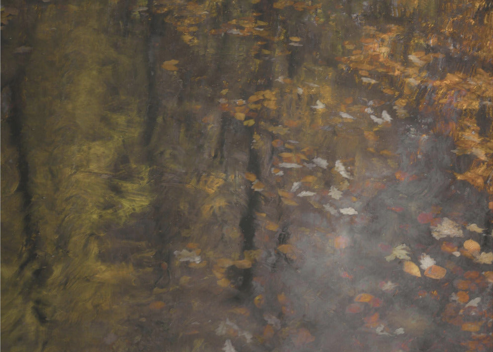 Herbstimpression | Poster