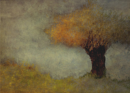 Willow | Canvas