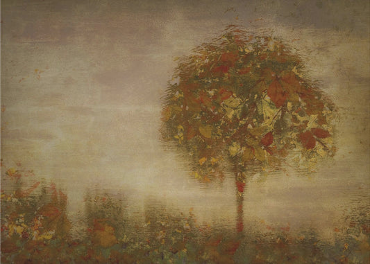 Fantasy 2 | Canvas