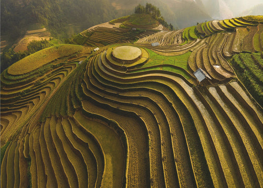 mu cang chai - vietnam | Poster