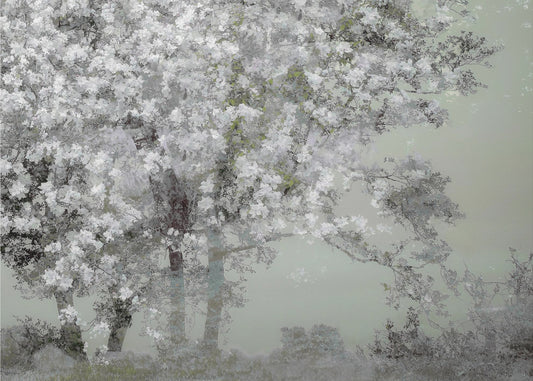 Frühling | Poster