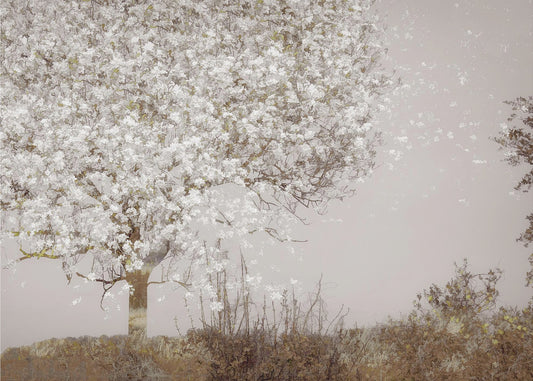 Obstbaum | Leinwand