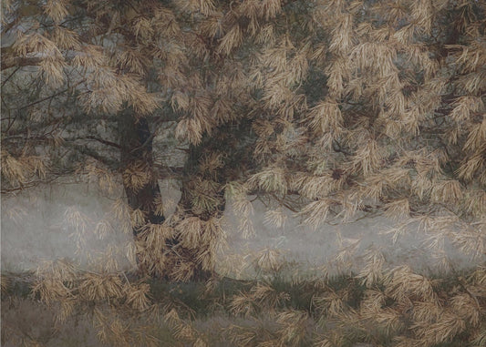 Kiefernbaum | Leinwand
