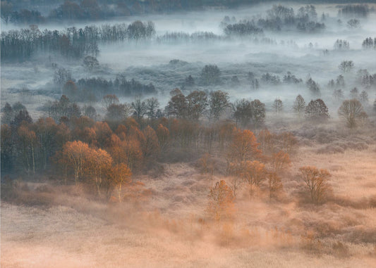 Herbstliche neblige Morgendämmerung | Leinwand