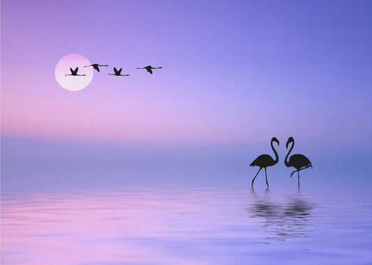 Flying Flamingo | Canvas