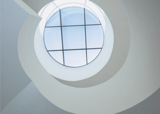 Looking Up | Canvas