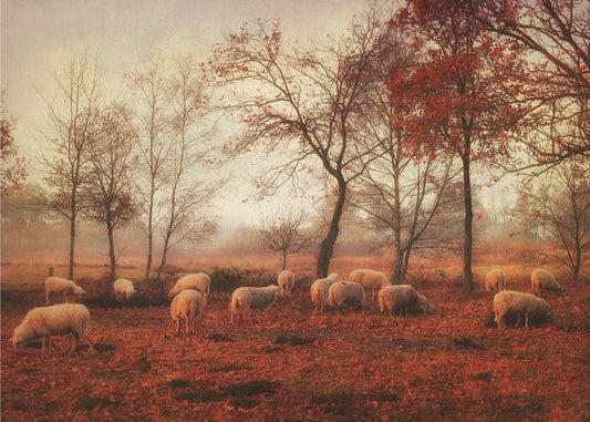 Last days of autumn | Canvas
