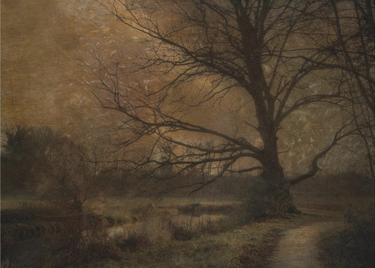 Alter Baum | Leinwand