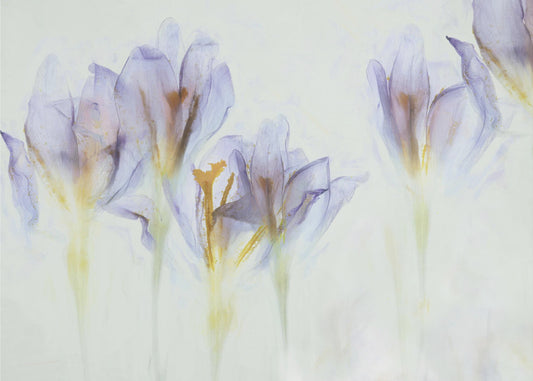 Frühling | Poster
