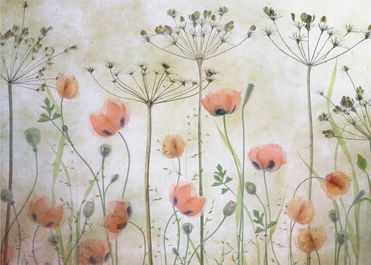 Poppy Meadow | Canvas