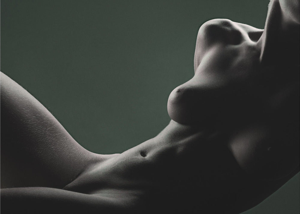 Eleganz | Leinwand
