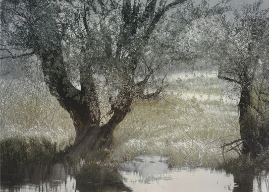 Am Wasserufer | Poster