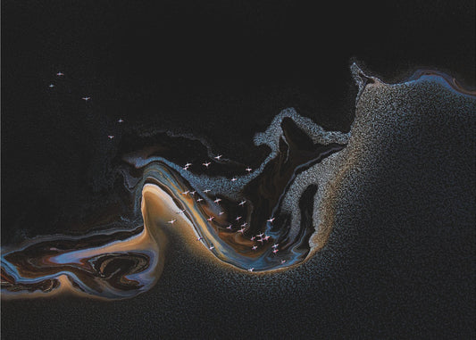 Flamingo over lake | Canvas