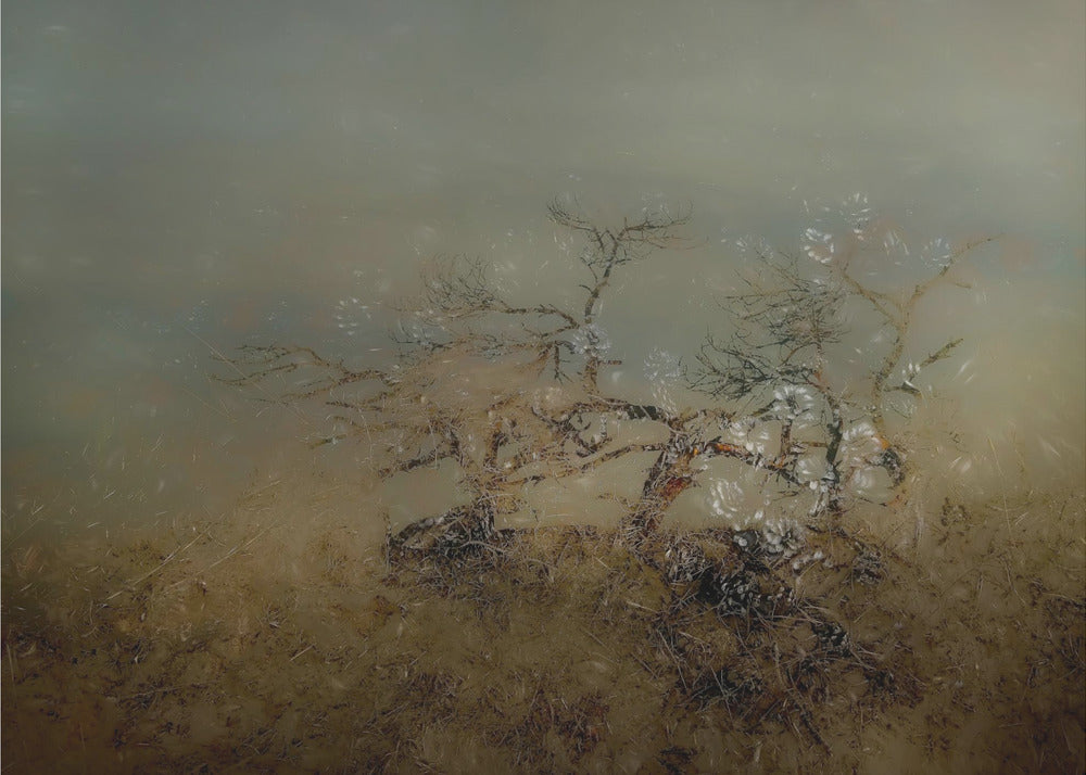 Alter Baum | Leinwand