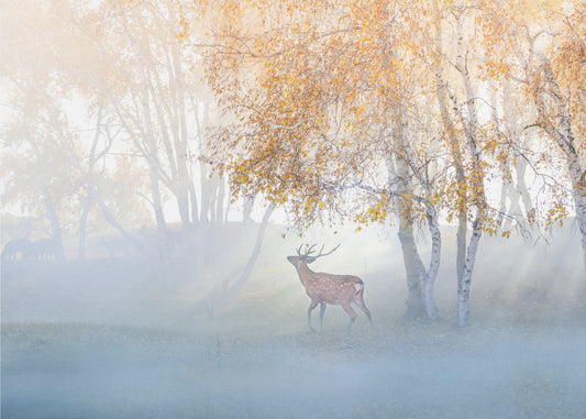 Elch im Nebel verloren | Poster