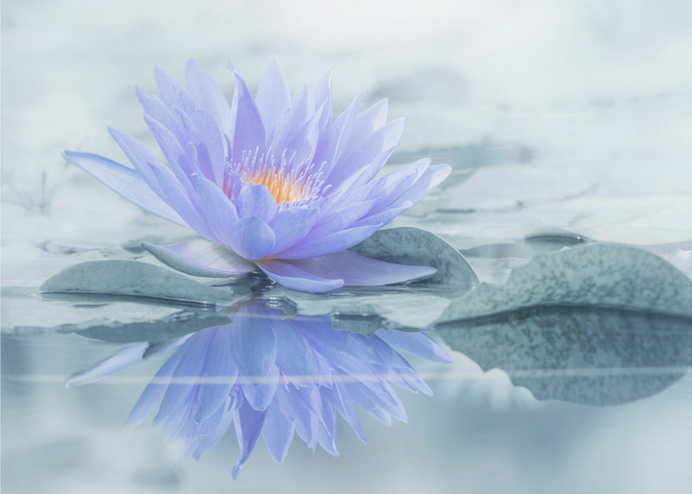 Reflexion | Poster