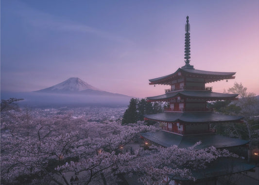 Berg Fuji Sakura | Tapete