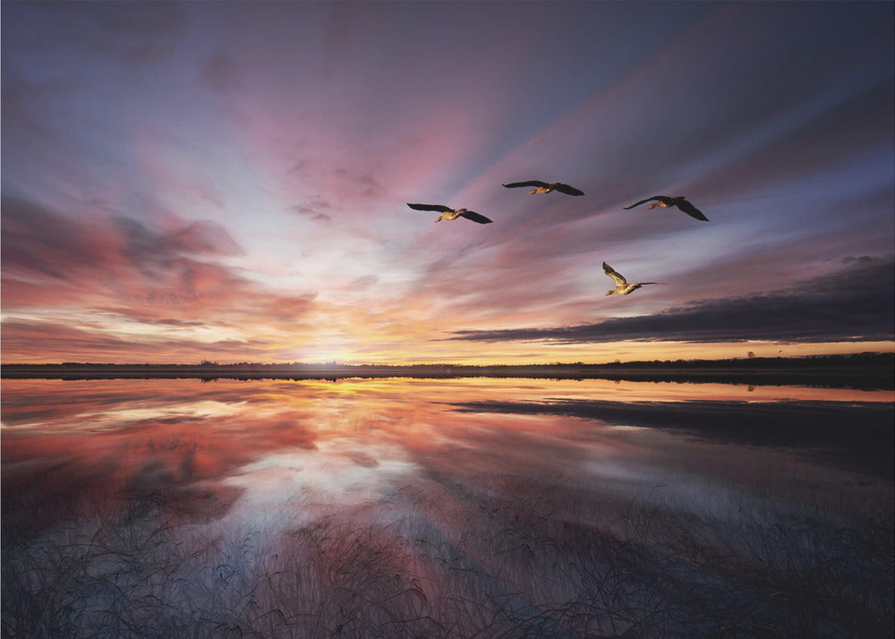 Morgenstimmung.. | Hintergrundbild