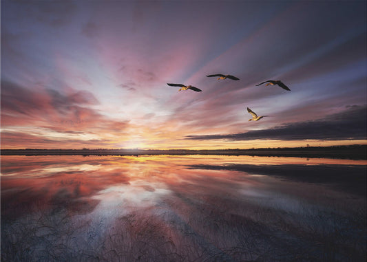 Morgenstimmung.. | Hintergrundbild