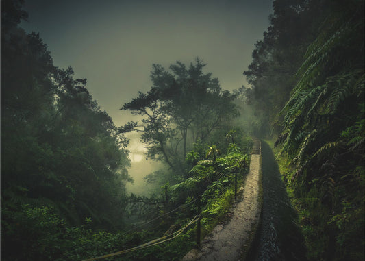 Levada-Wanderung | Leinwand