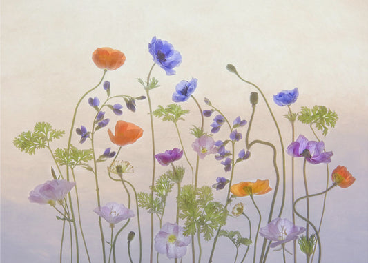 Spring Melody | Wallpaper