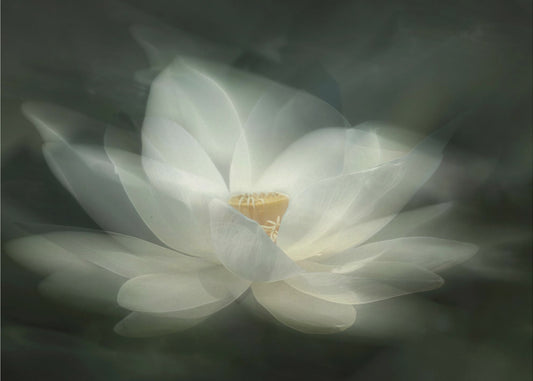 Swaying | Canvas