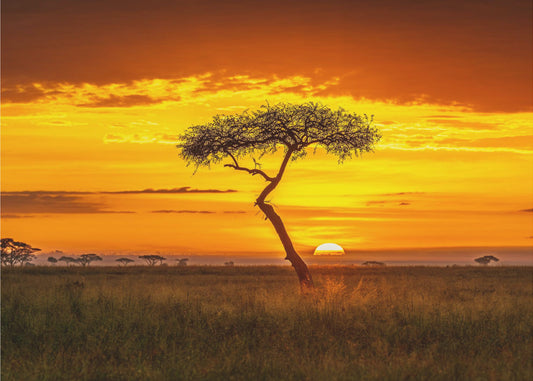 Ursprüngliches Afrika | Leinwand