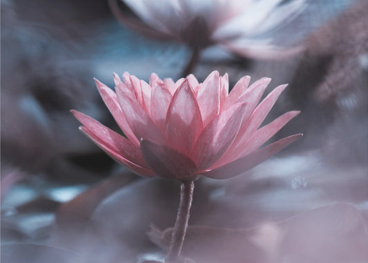 Silence | Canvas