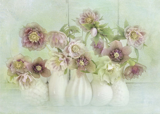 Spring Lentens | Canvas