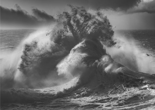 POSEIDON MAJESTY (Part 4) | Canvas