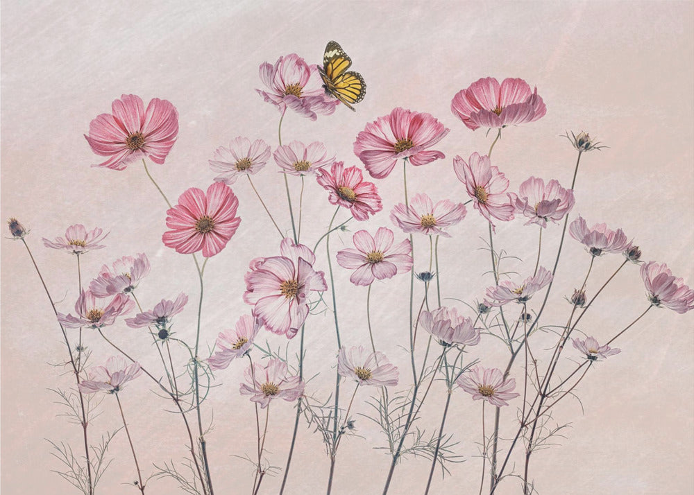 Kosmos und Schmetterling | Leinwand