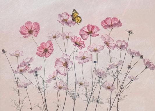 Cosmos and Butterfly | Canvas