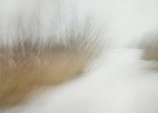 Wintertime | Canvas