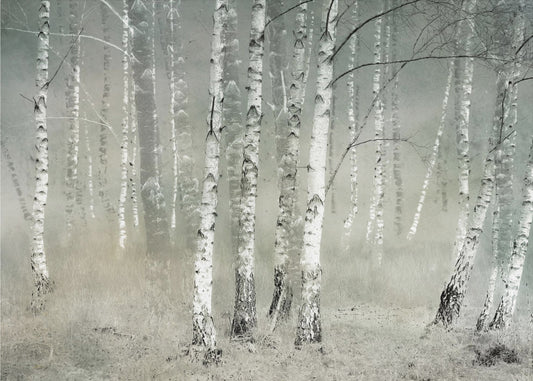 Morning silence | Canvas