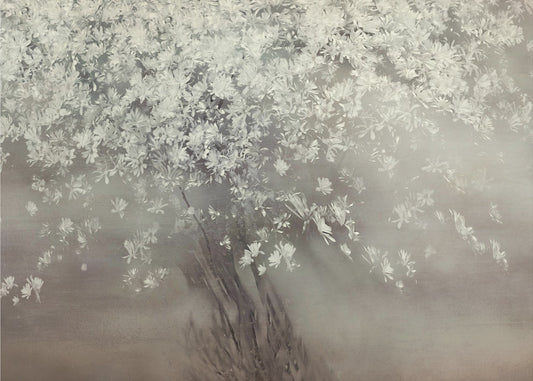 Stars of spring | Canvas