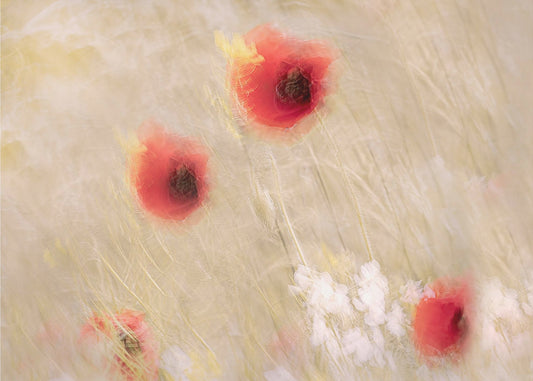 Between the grass | Canvas