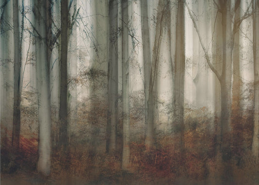 Autumn light | Canvas