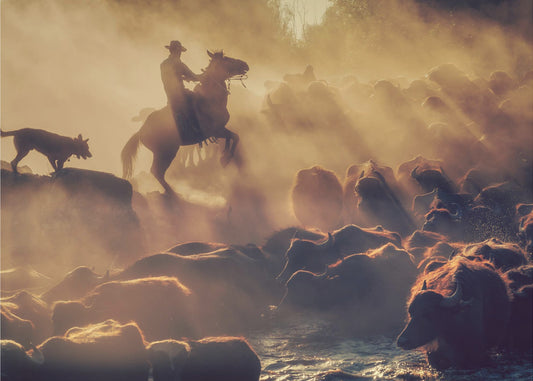 The buffalo shepherd | Canvas