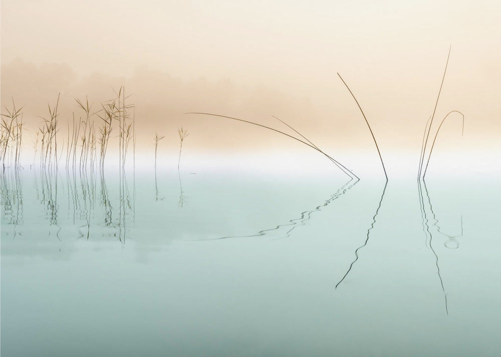 Stille | Leinwand
