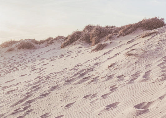 Beach_009 | Canvas