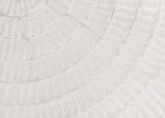 Texture 06 | Canvas