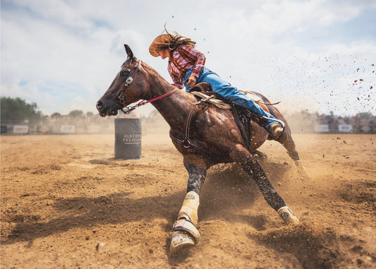 Slam on the Brakes | Canvas