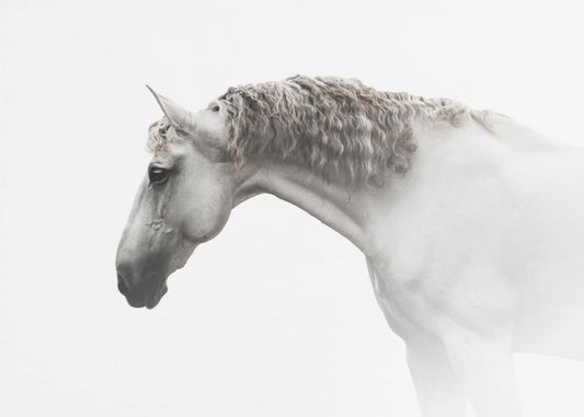 Curly hair… | Canvas